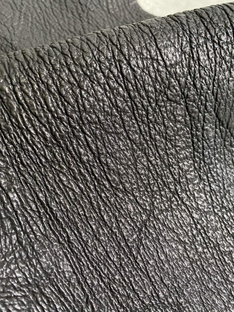 画像6: シャーク　ブラック　鮫革　シャークスキン　ハギレ (6)