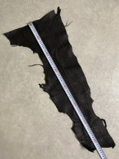 画像7: シャーク　ブラック　鮫革　シャークスキン　ハギレ (7)