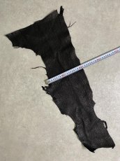 画像8: シャーク　ブラック　鮫革　シャークスキン　ハギレ (8)