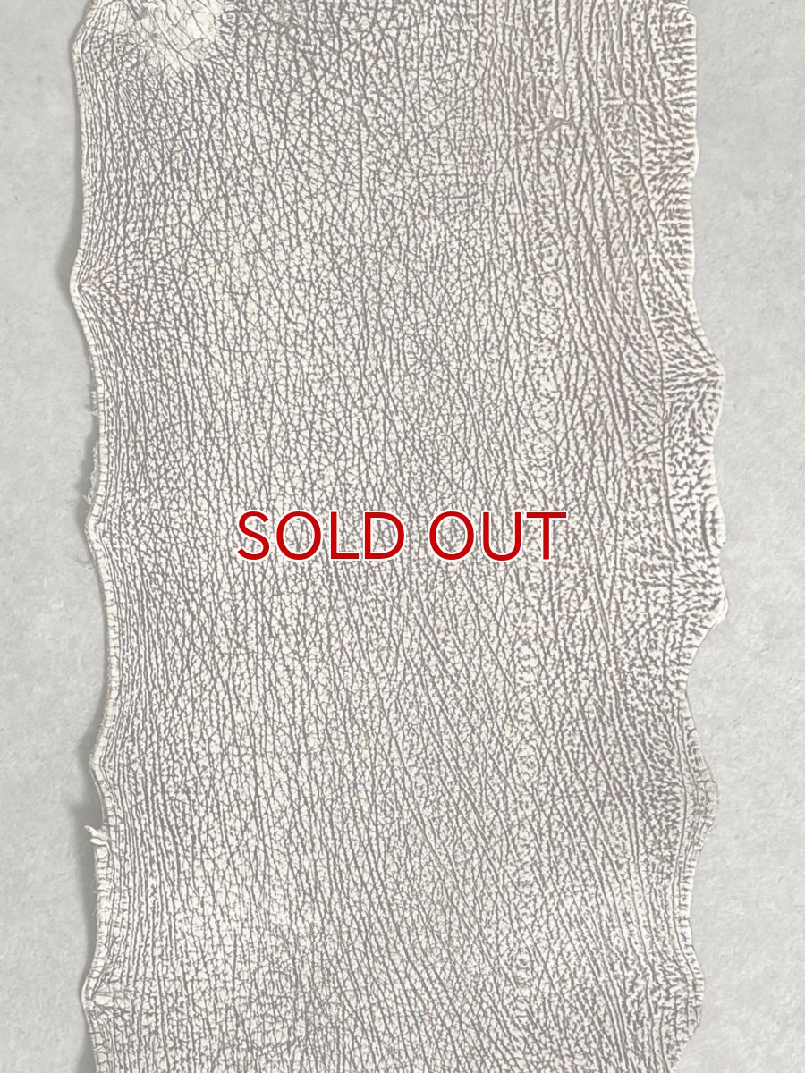 画像2: シャーク　バニラ×茶　サメ革　鮫革　シャークスキン　 (2)