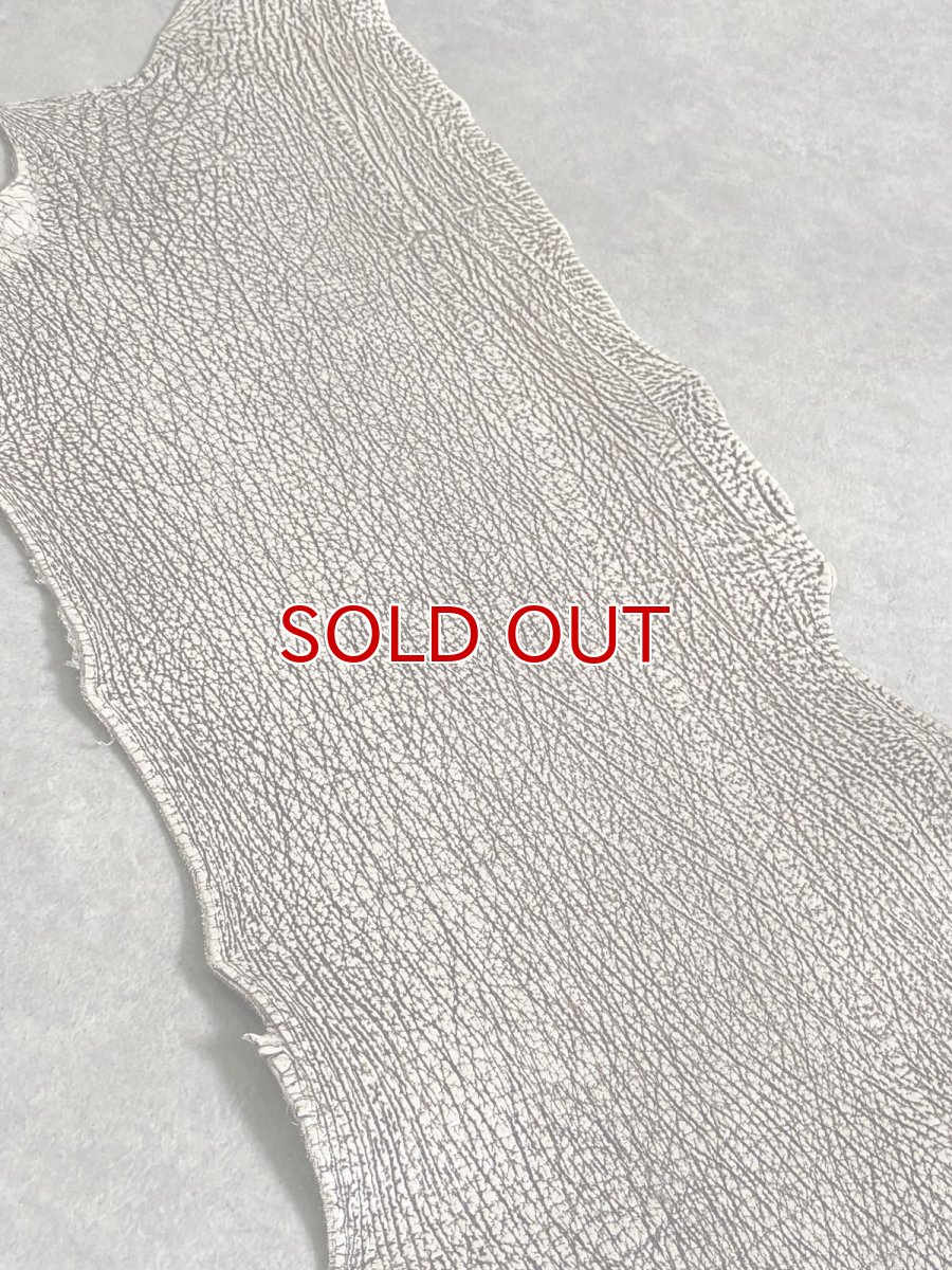 画像6: シャーク　バニラ×茶　サメ革　鮫革　シャークスキン　 (6)