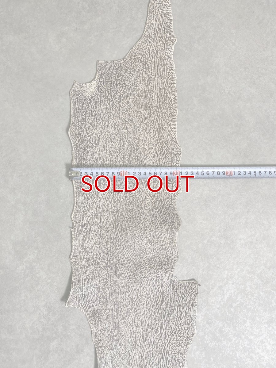 画像8: シャーク　バニラ×茶　サメ革　鮫革　シャークスキン　 (8)