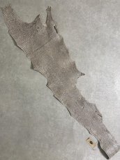 画像1: シャーク　バニラ×茶　サメ革　鮫革　シャークスキン　 (1)