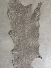 画像2: シャーク　バニラ×茶　サメ革　鮫革　シャークスキン　 (2)