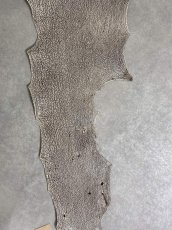 画像3: シャーク　バニラ×茶　サメ革　鮫革　シャークスキン　 (3)