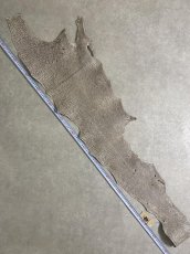 画像7: シャーク　バニラ×茶　サメ革　鮫革　シャークスキン　 (7)