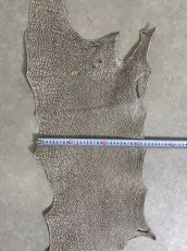 画像8: シャーク　バニラ×茶　サメ革　鮫革　シャークスキン　 (8)