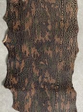 画像2: シャーク　迷彩吟スリ　鮫革　シャークスキン (2)
