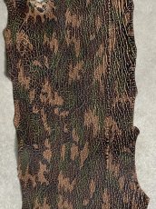 画像2: シャーク　迷彩吟スリ　鮫革　シャークスキン (2)