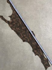 画像6: シャーク　迷彩吟スリ　鮫革　シャークスキン (6)