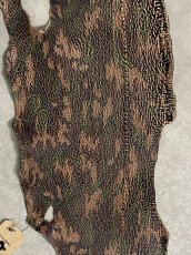 画像2: シャーク　迷彩吟スリ　鮫革　シャークスキン (2)