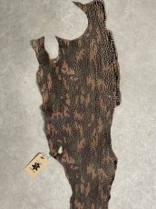 画像3: シャーク　迷彩吟スリ　鮫革　シャークスキン (3)