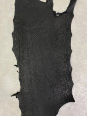画像2: シャーク　ブラック　鮫革　シャークスキン (2)