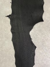 画像3: シャーク　ブラック　鮫革　シャークスキン (3)