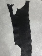 画像4: シャーク　ブラック　鮫革　シャークスキン (4)