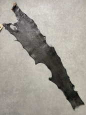 画像1: シャーク　サメ革　鮫革　シャークスキン　エナメル　ブラック (1)
