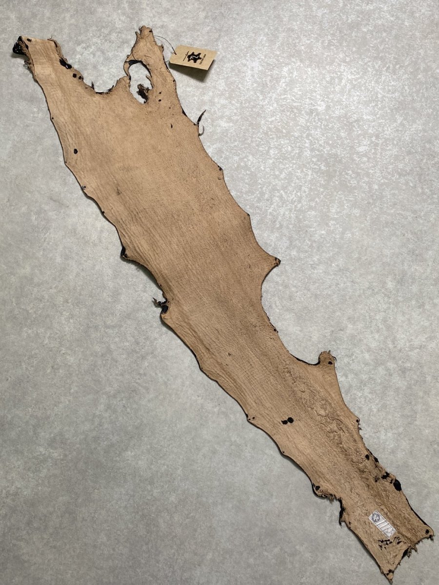 画像8: シャーク　サメ革　鮫革　シャークスキン　エナメル　ブラック (8)