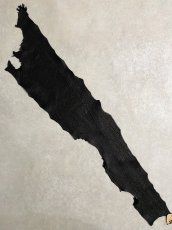 画像1: シャーク　ブラック　鮫革　シャークスキン (1)