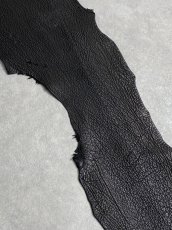 画像6: シャーク　ブラック　鮫革　シャークスキン (6)