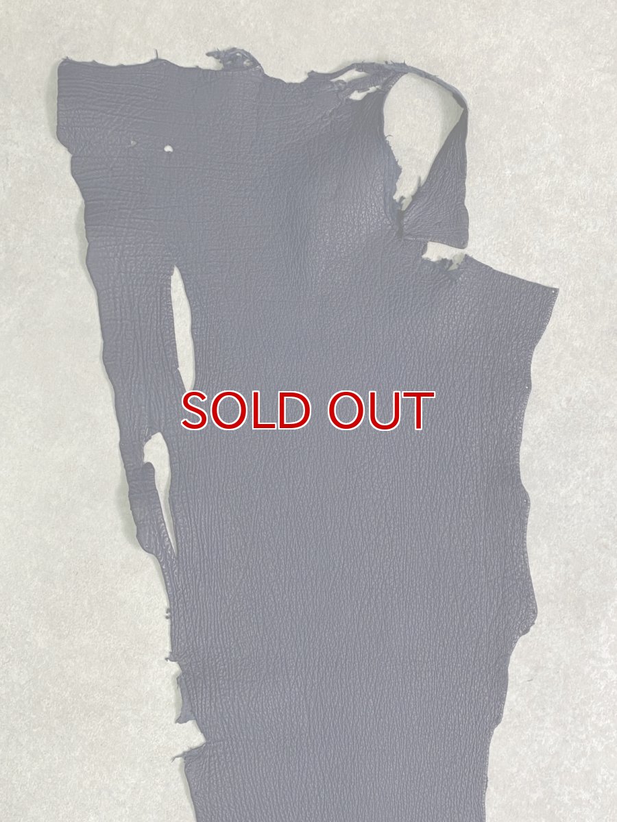 画像3: シャーク　マットネイビー　サメ革　鮫革　シャークスキン (3)
