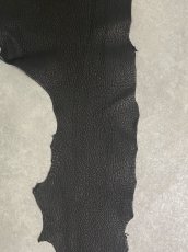 画像4: シャーク　ブラック　Aランク　鮫革　シャークスキン (4)