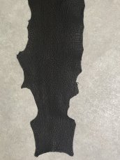 画像5: シャーク　ブラック　Aランク　鮫革　シャークスキン (5)