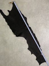 画像6: シャーク　ブラック　Aランク　鮫革　シャークスキン (6)
