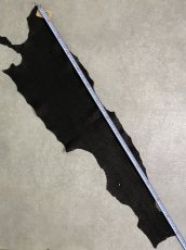 画像5: シャーク　ブラック　Aランク　鮫革　シャークスキン (5)
