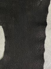 画像3: シャーク　ブラック　Aランク　鮫革　シャークスキン (3)