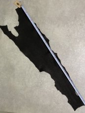 画像5: シャーク　ブラック　Aランク　鮫革　シャークスキン (5)