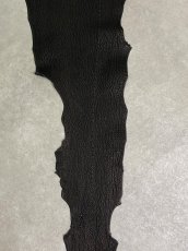 画像4: シャーク　ブラック　Aランク　鮫革　シャークスキン (4)