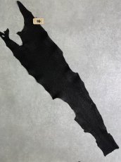画像1: シャーク　ブラック　Aランク　鮫革　シャークスキン (1)