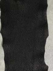 画像3: シャーク　ブラック　Aランク　鮫革　シャークスキン (3)