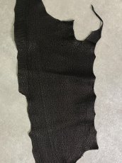 画像4: ご予約のお客様用　シャーク　ブラック　Aランク (4)