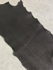 画像2: ご予約のお客様用　シャーク　ブラック　Aランク (2)