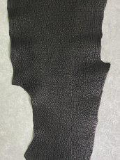 画像3: シャーク　ブラック　Aランク　鮫革　シャークスキン (3)