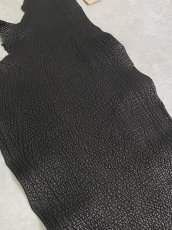 画像5: シャーク　ブラック　Aランク　鮫革　シャークスキン (5)