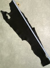 画像7: シャーク　ブラック　Aランク　鮫革　シャークスキン (7)