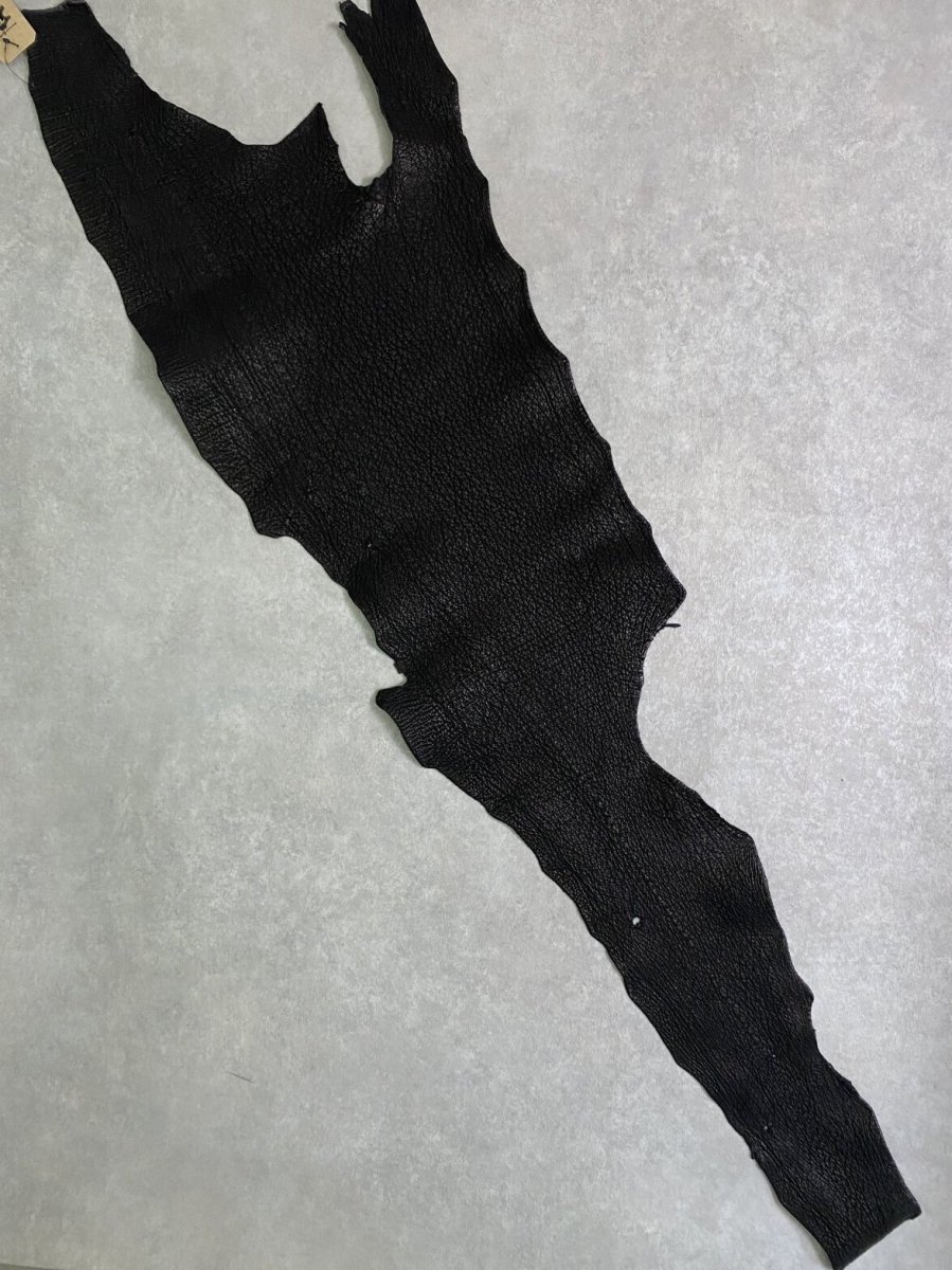 画像1: シャーク　ブラック　Aランク　鮫革　シャークスキン (1)