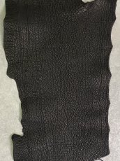 画像2: シャーク　ブラック　Aランク　鮫革　シャークスキン (2)