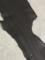 画像6: シャーク　ブラック　Aランク　鮫革　シャークスキン (6)