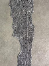 画像6: シャーク　白×黒　サメ革　鮫革　シャークスキン　 (6)