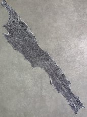 画像1: シャーク　白×黒　サメ革　鮫革　シャークスキン　 (1)