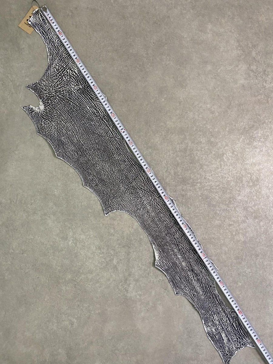 画像7: シャーク　白×黒　サメ革　鮫革　シャークスキン　 (7)