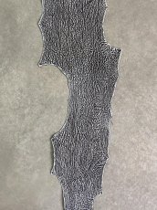 画像5: シャーク　白×黒　サメ革　鮫革　シャークスキン　 (5)
