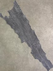 画像1: シャーク　白×黒　サメ革　鮫革　シャークスキン　 (1)