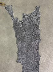 画像4: シャーク　白×黒　サメ革　鮫革　シャークスキン　 (4)