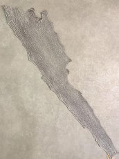 画像1: シャーク　バニラ×茶　サメ革　鮫革　シャークスキン　 (1)