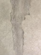 画像5: シャーク　バニラ×茶　サメ革　鮫革　シャークスキン　 (5)