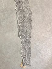 画像6: シャーク　バニラ×茶　サメ革　鮫革　シャークスキン　 (6)